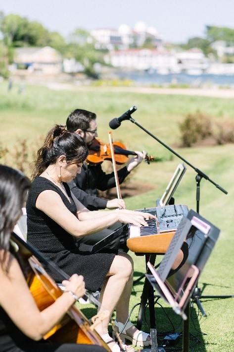 Live musicians at wedding ceremony