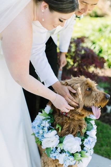Bride and pet at wedding ceremony